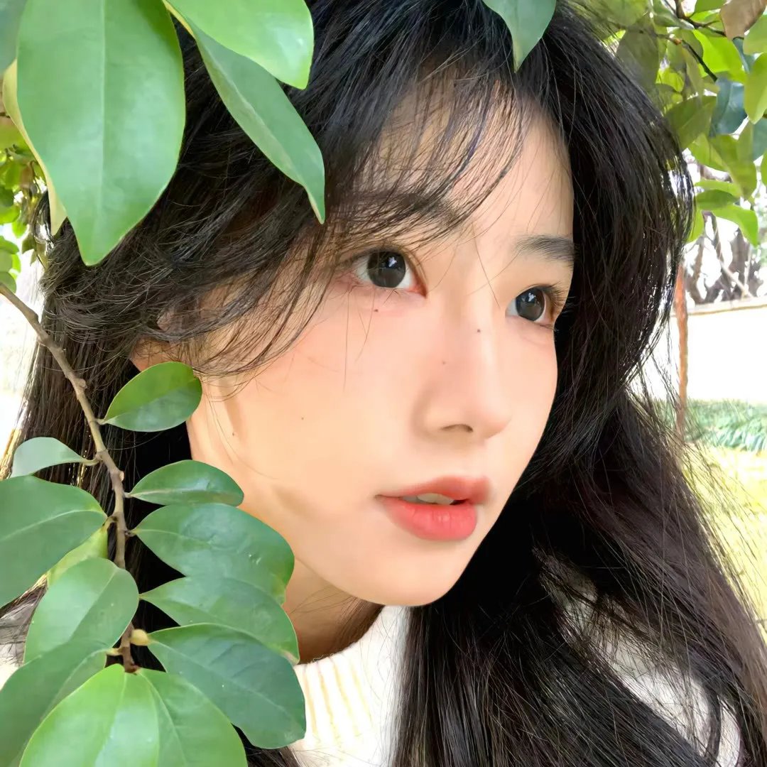 灵体盛宴